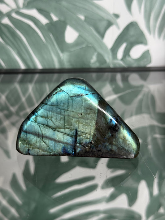 Labradoriet op standvlak #no.4