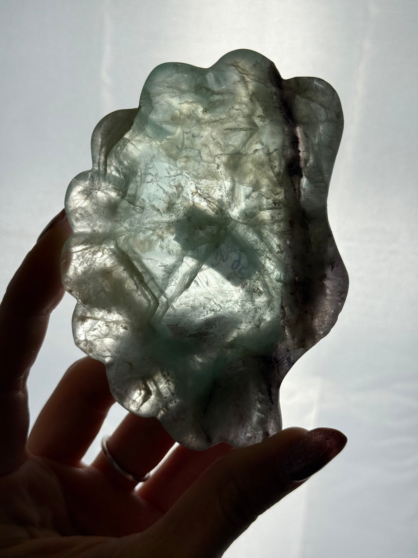 Fluoriet schaaltje schelp #no.24