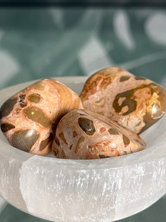 Leopardiet jaspis trommelsteen (acceptatie & zelfliefde)