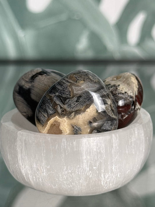 Jaspis zilverblad trommelsteen (bescherming & geduld)