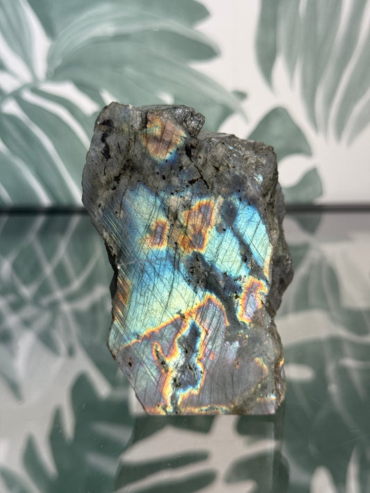 Labradoriet op standvlak ruw #no.119