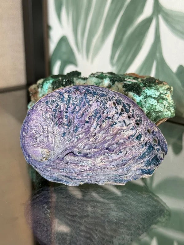 đ Abalone schelp paars (geverfd) S â bescherming & emotionele balans