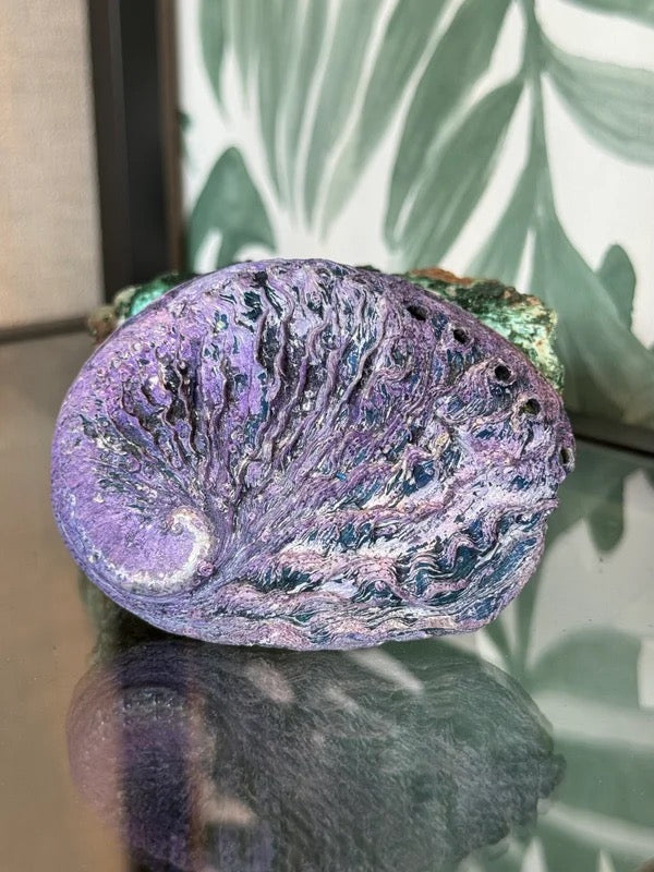 đ Abalone schelp roze (geverfd) M â bescherming & emotionele balans