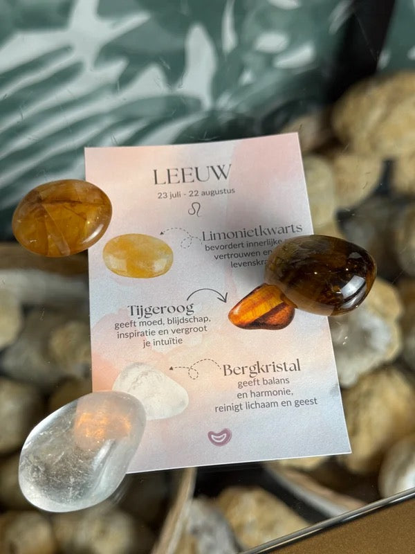 Cadeauset Leeuw (22 Juli - 22 Augustus)