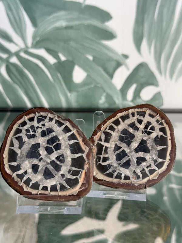 Septarie geode paar #no.5