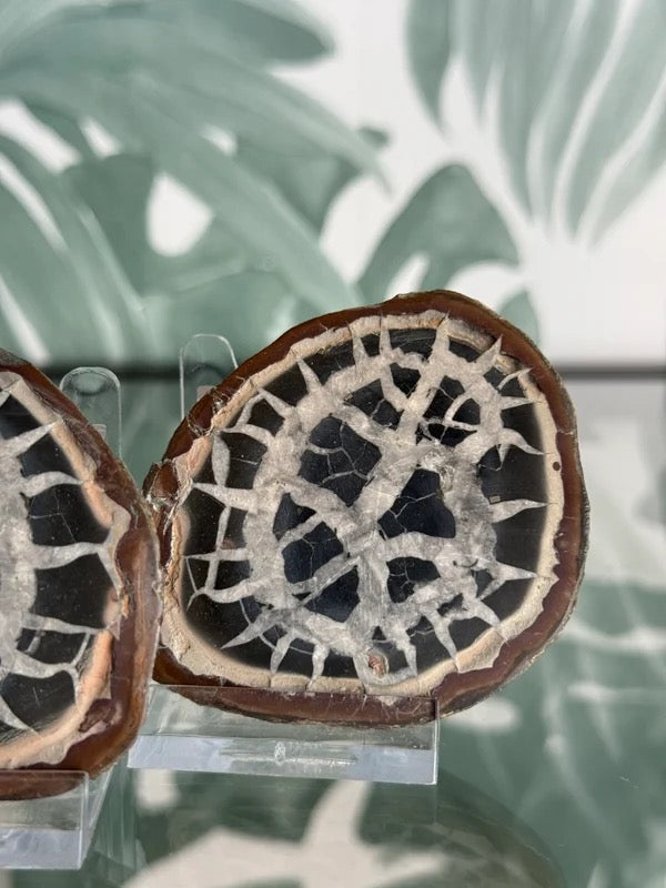 Septarie geode paar #no.5
