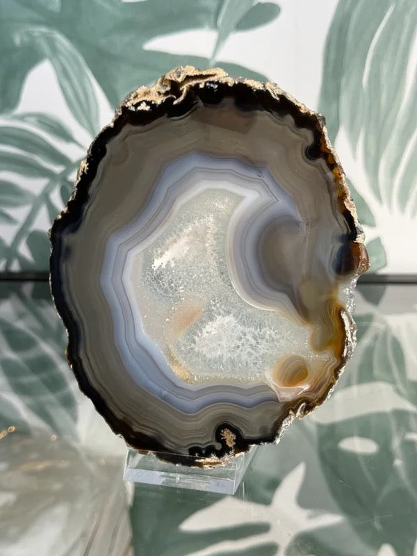 Agaat schijf natuurlijk #no.31
