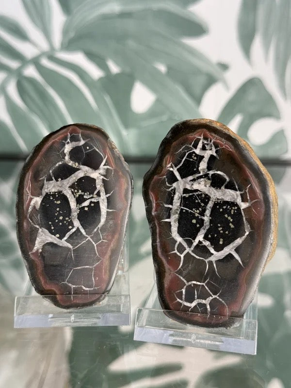 Septarie geode paar #no.3