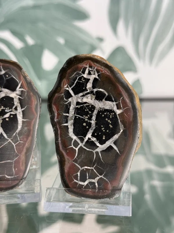 Septarie geode paar #no.3