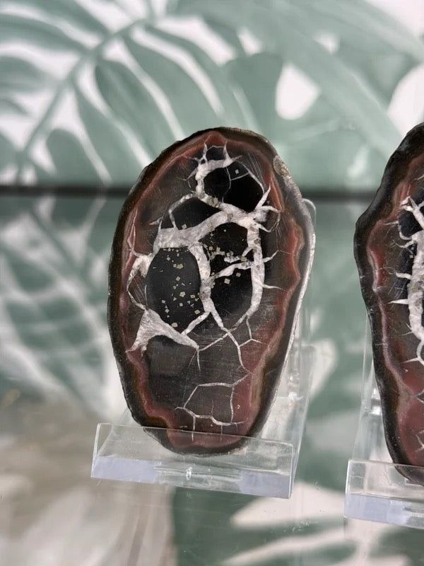Septarie geode paar #no.3