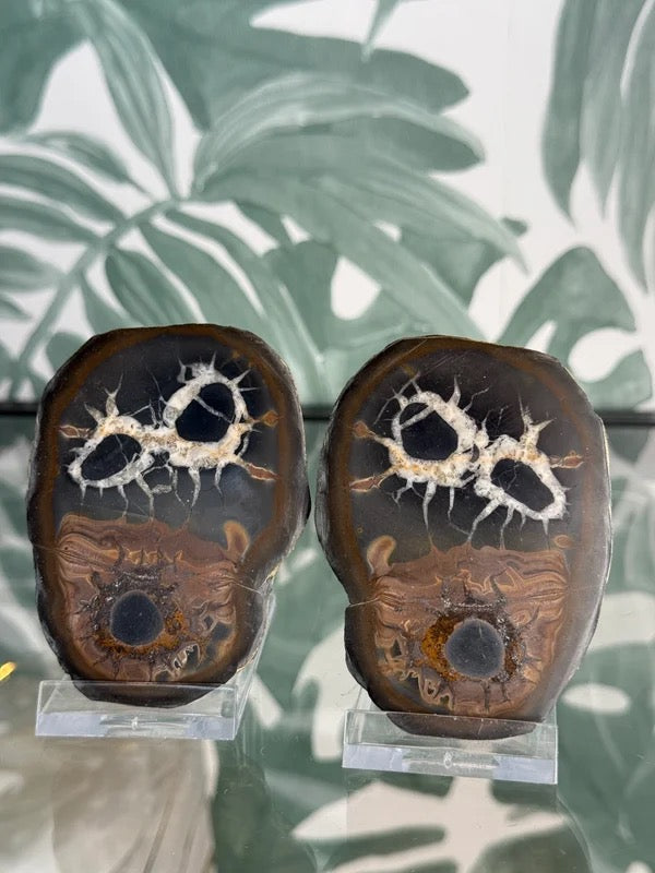 Septarie geode paar #no.2