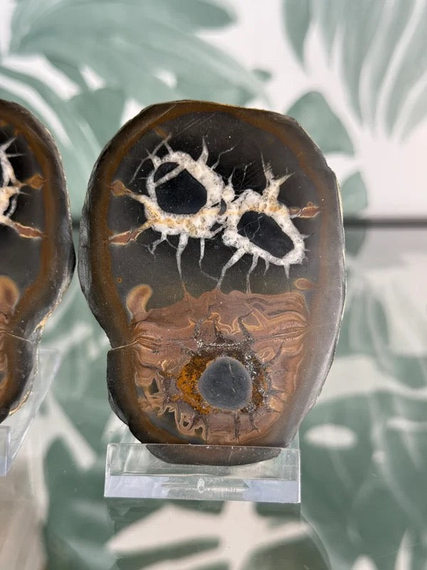 Septarie geode paar #no.2