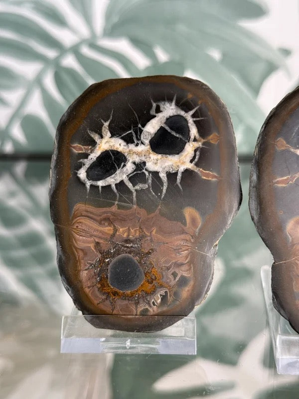 Septarie geode paar #no.2