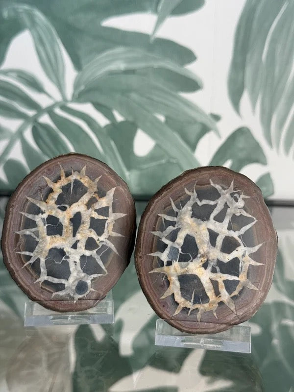 Septarie geode paar #no.1