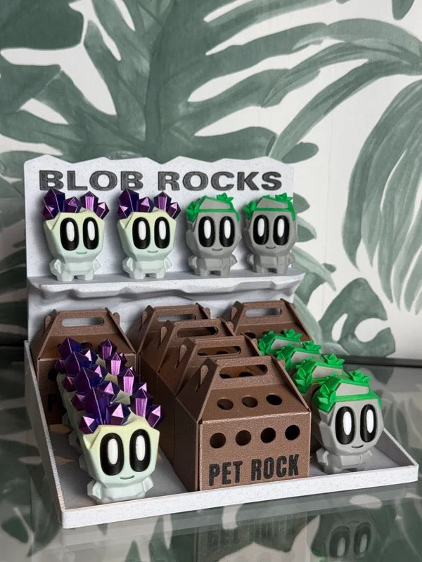 Adopteer je eigen Pet Rock!
