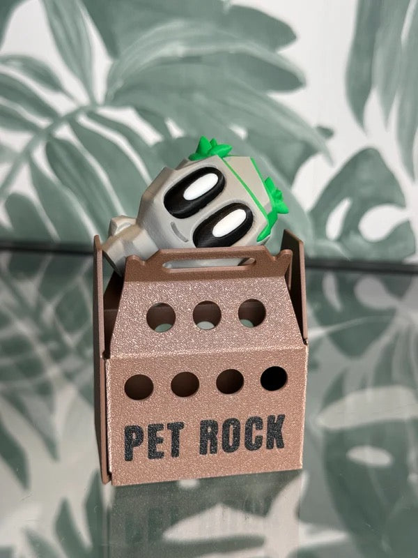 Adopteer je eigen Pet Rock!