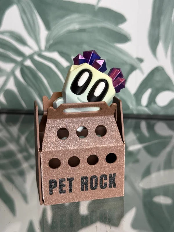 Adopteer je eigen Pet Rock!