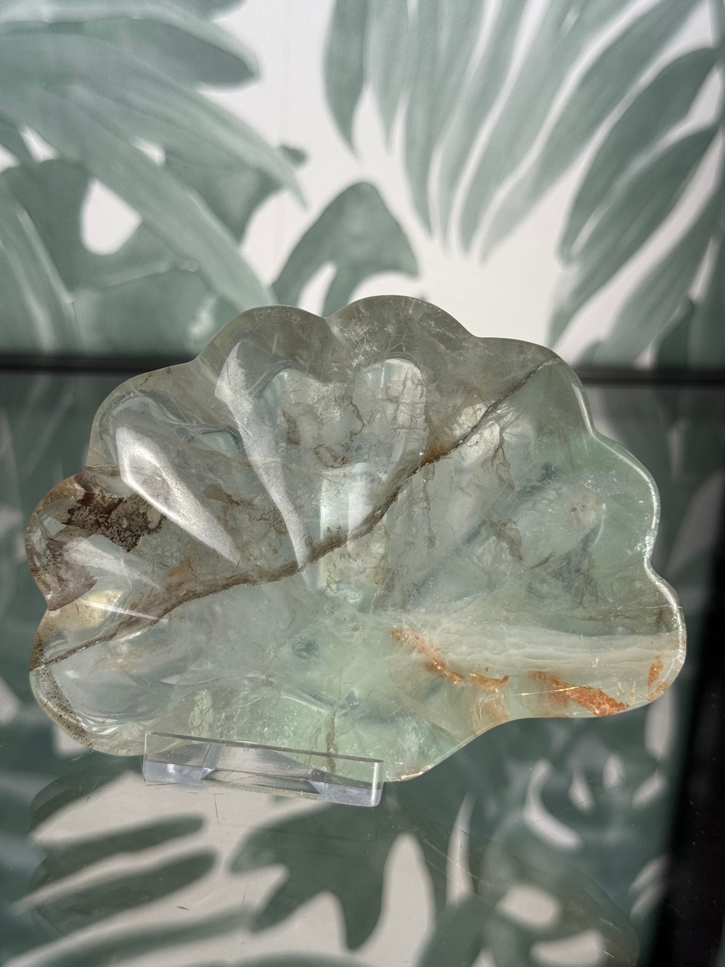 Fluoriet schaaltje schelp #no.25