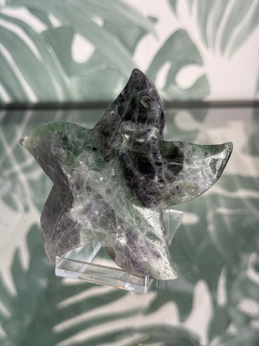 Fluoriet zeester #no.27