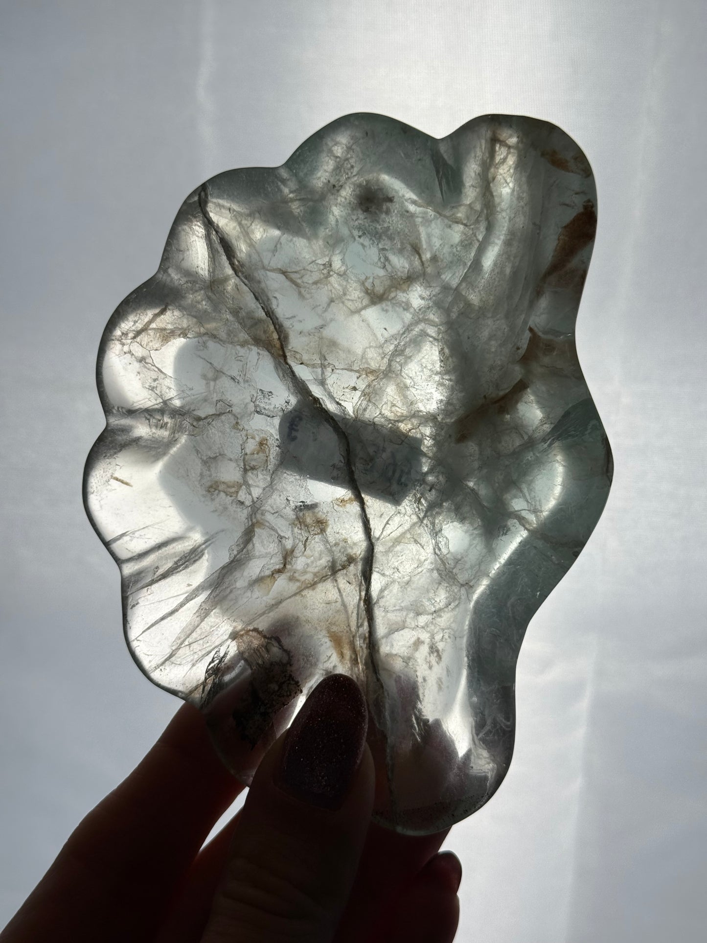 Fluoriet schaaltje schelp #no.25