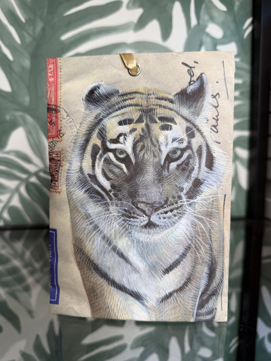 Geurzakje Fresh Cotton