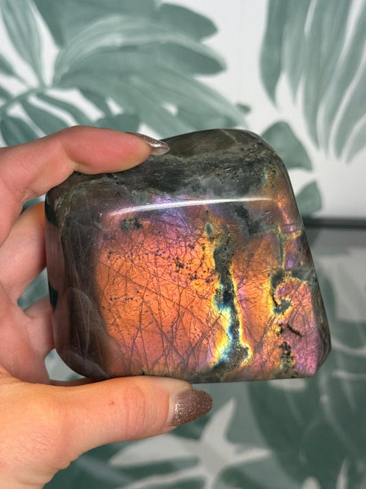 Labradoriet op standvlak #no.145