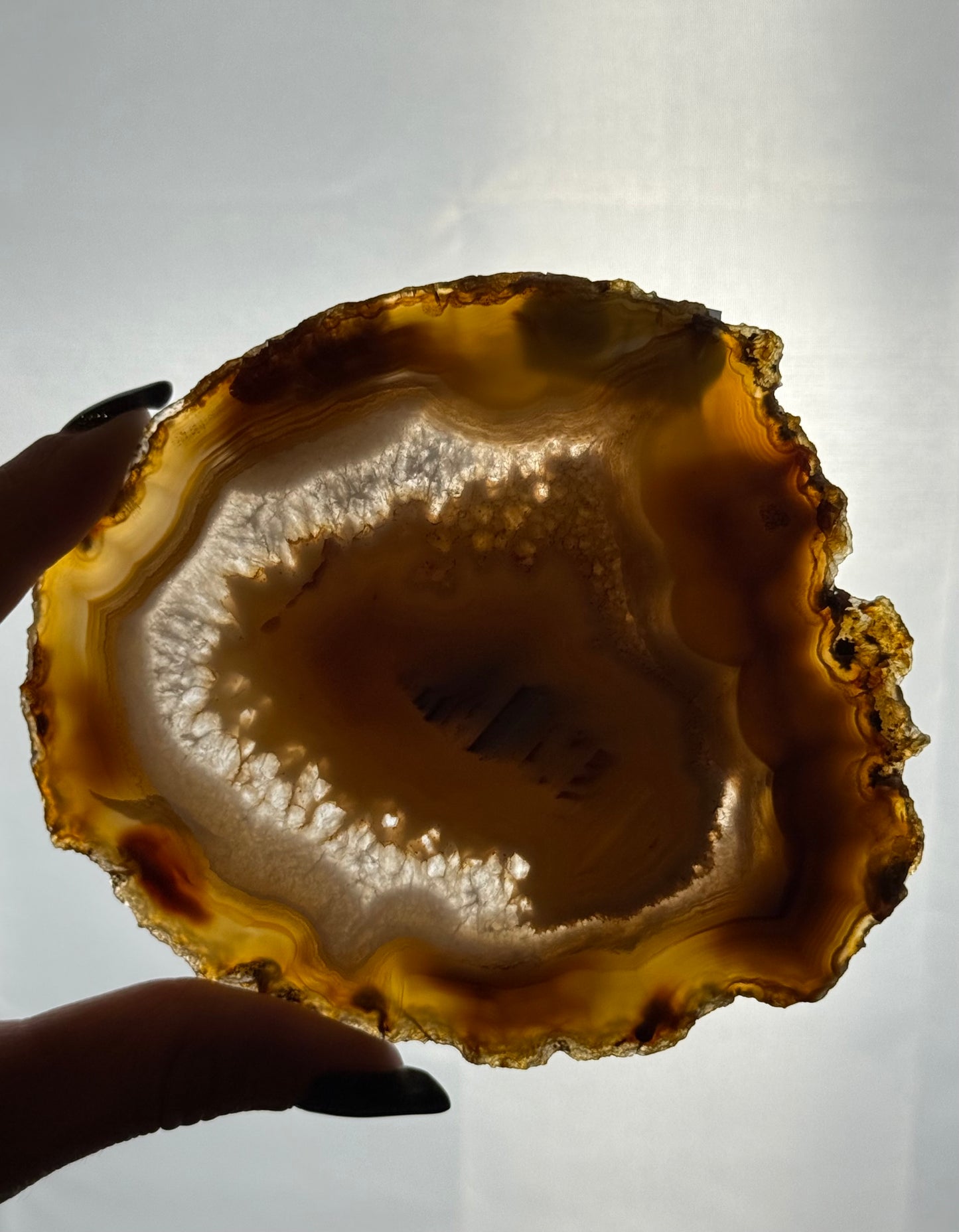 Agaat schijf natuurlijk - #no.230