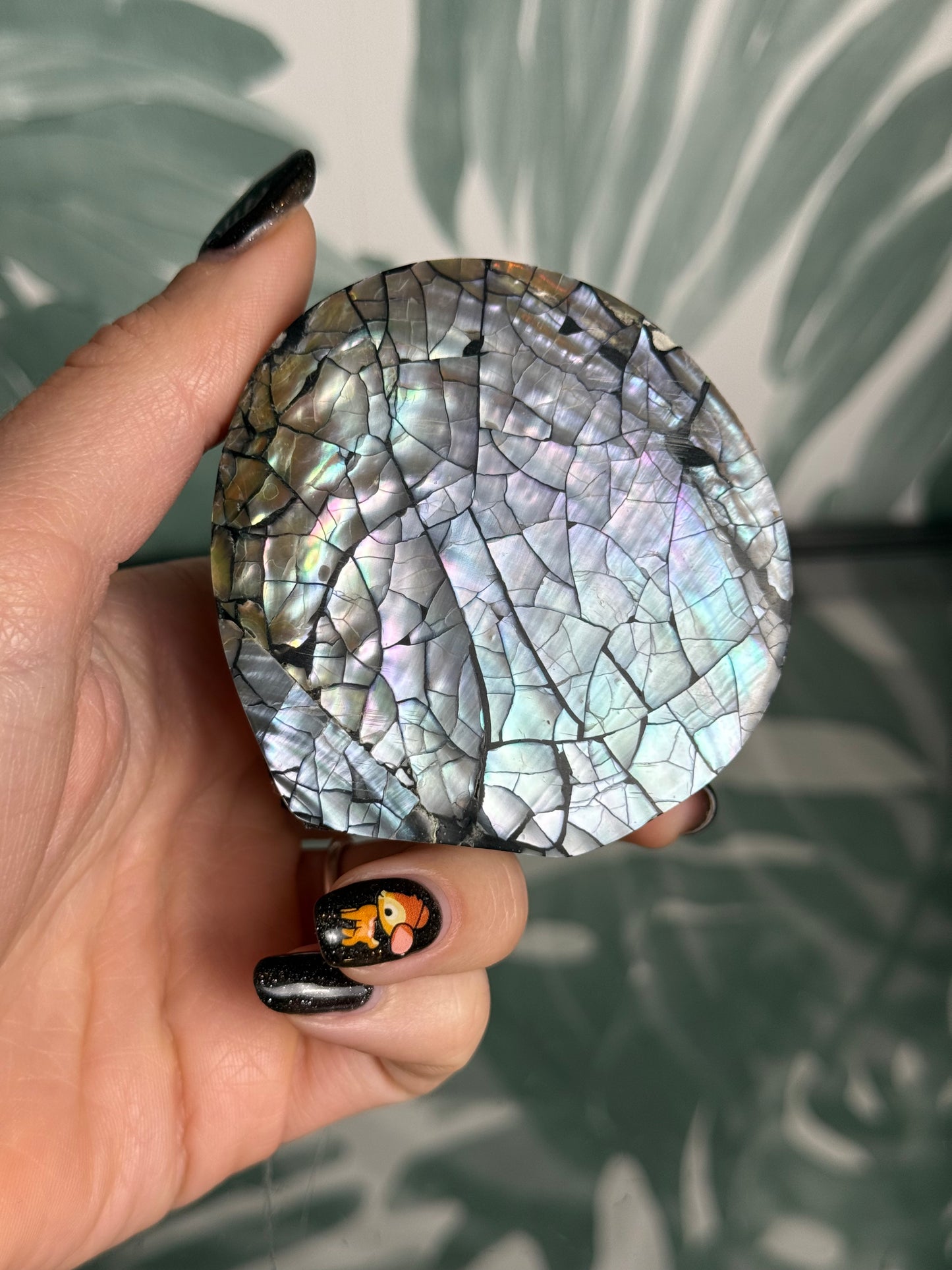 Abalone schelpen bakje – parelmoer doosje