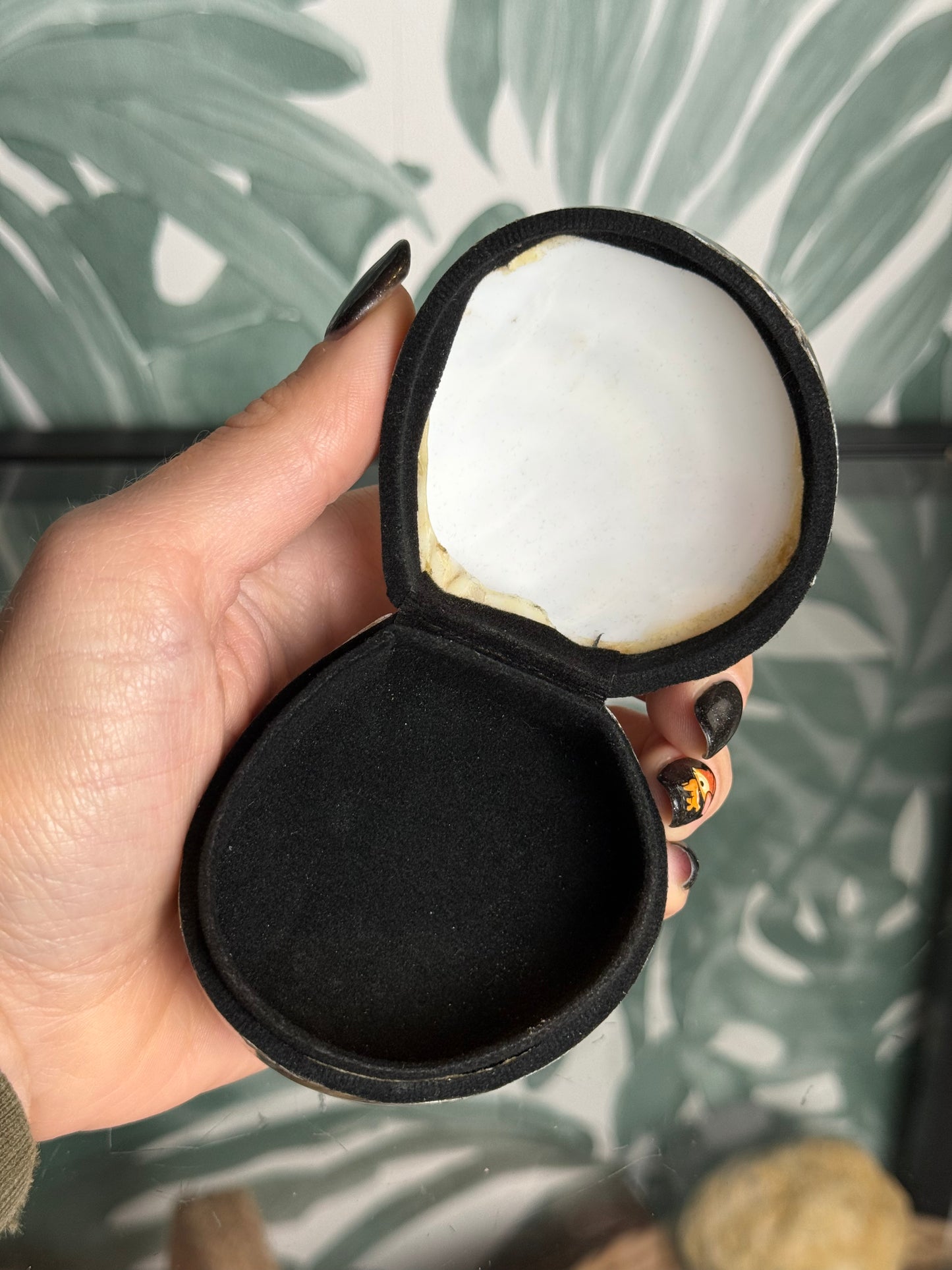 Abalone schelpen bakje – parelmoer doosje