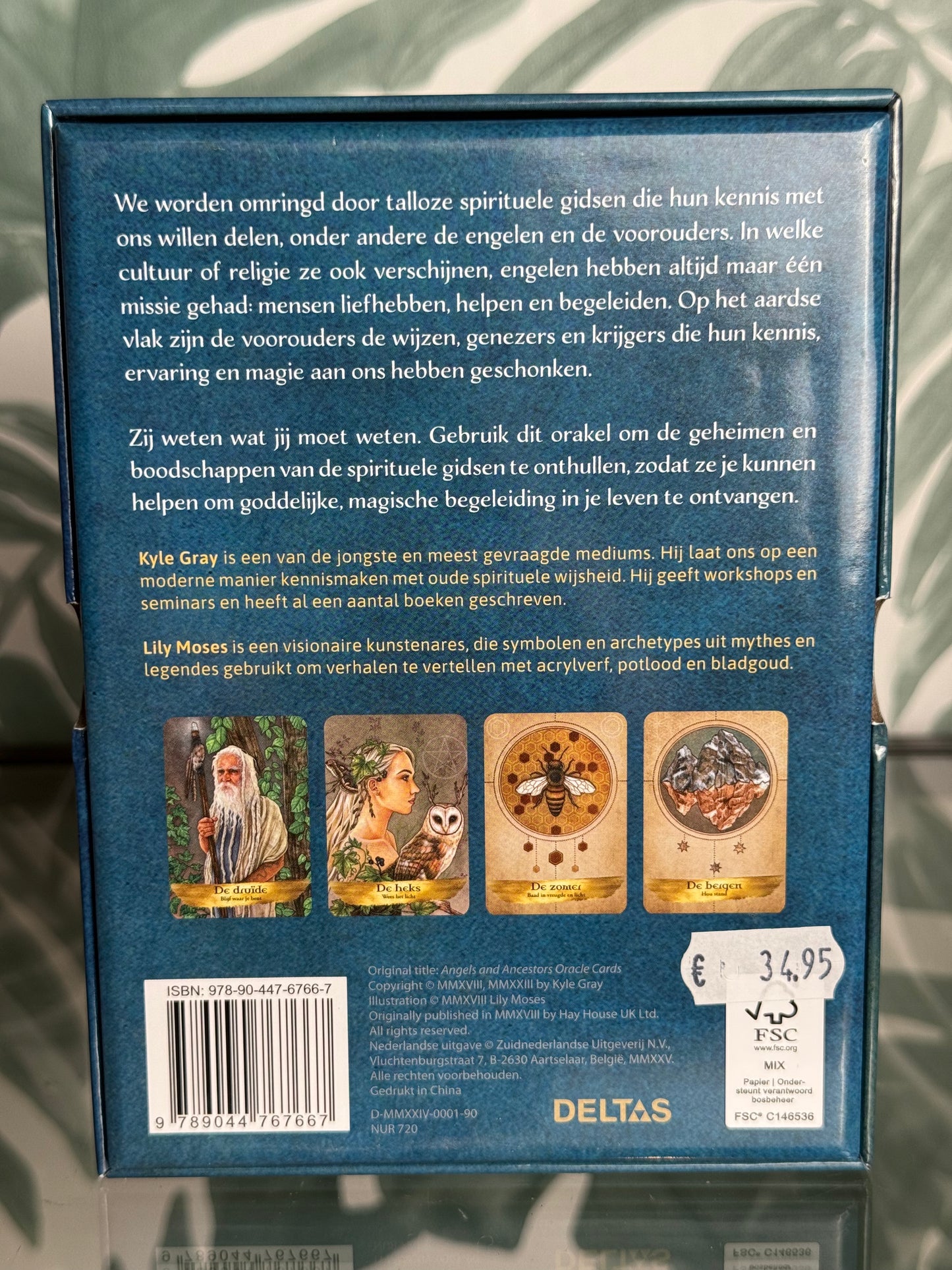 De wijsheid van de Spirituele gidsen - orakelkaarten van Kyle Gray