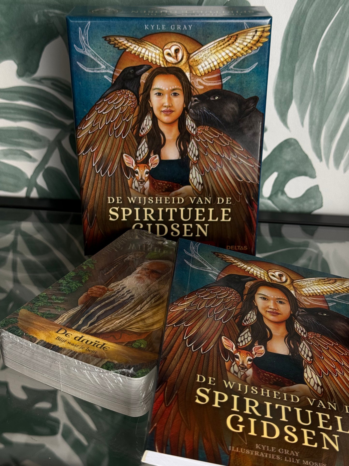 De wijsheid van de Spirituele gidsen - orakelkaarten van Kyle Gray