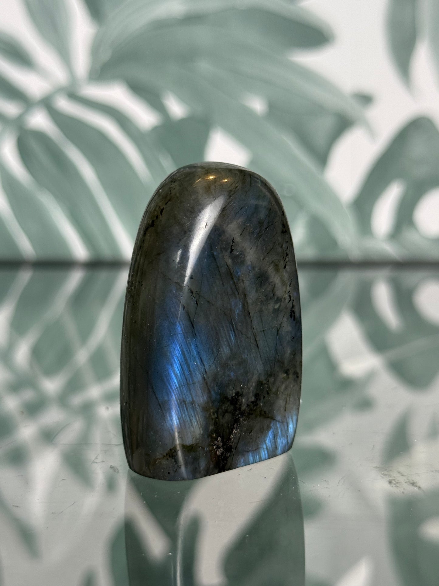 Labradoriet op standvlak - mini #no.116