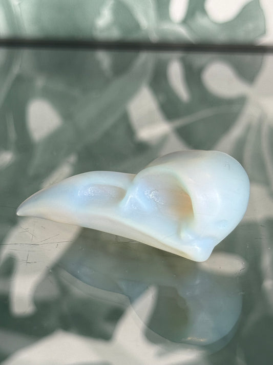 Opaliet raven skull - Inzicht & spirituele groei