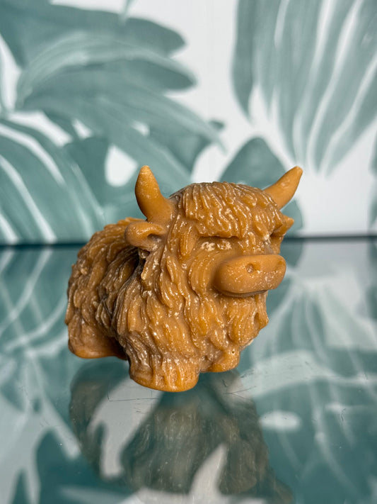 Amberblokje hooglander - original amber