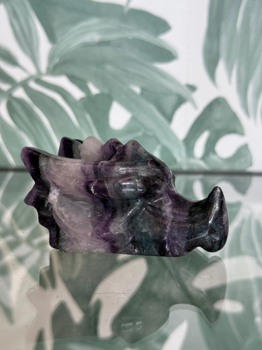 Fluoriet drakenkop