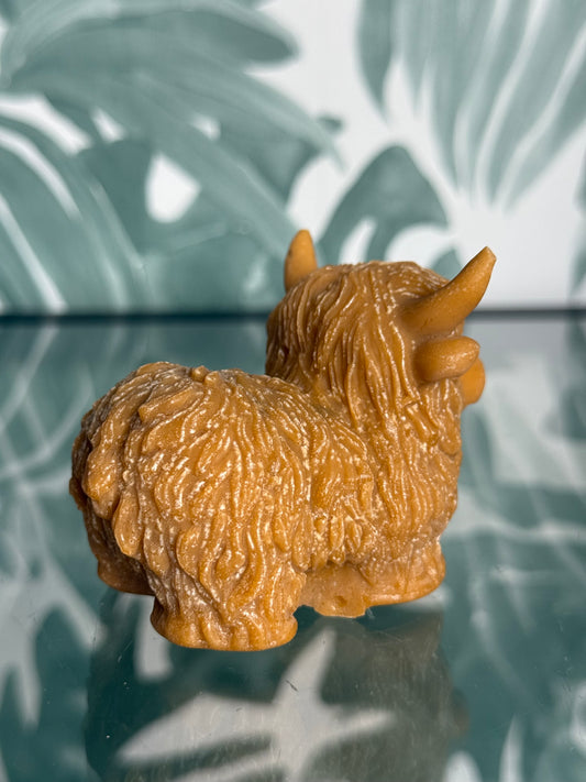 Amberblokje hooglander - original amber