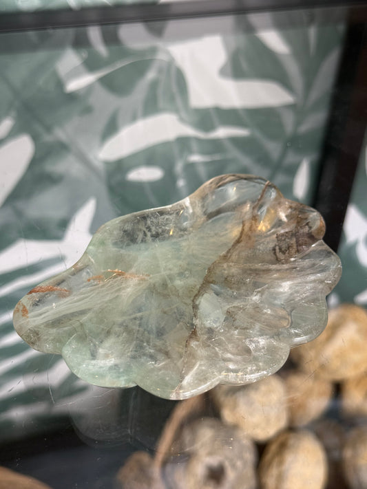 Fluoriet schaaltje schelp #no.25