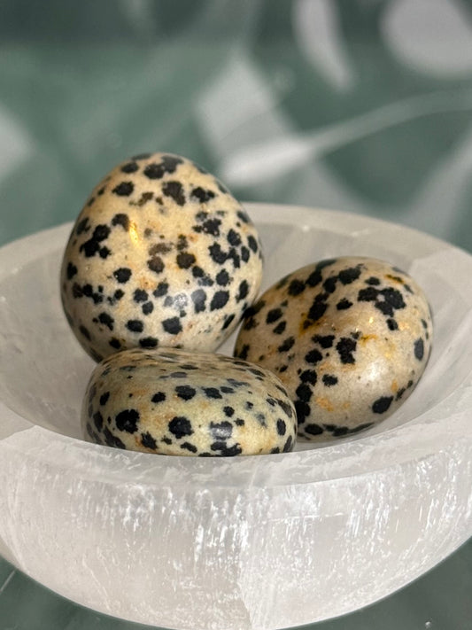 Dalmatier jaspis trommelsteen (vreugde & bescherming)