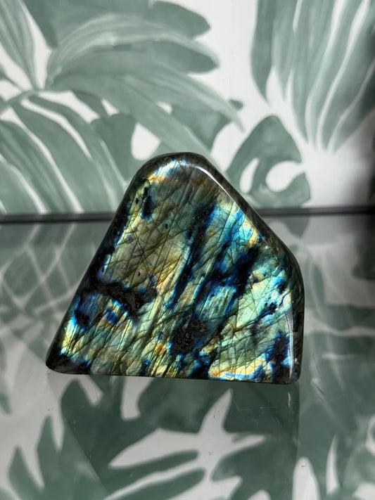 Labradoriet op standvlak #no.2