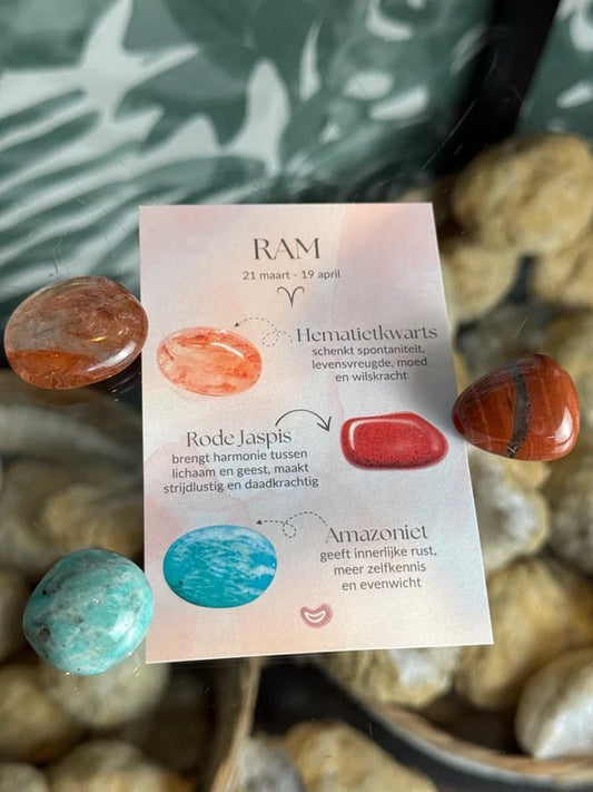 Cadeauset ram (21 Maart - 19 April)