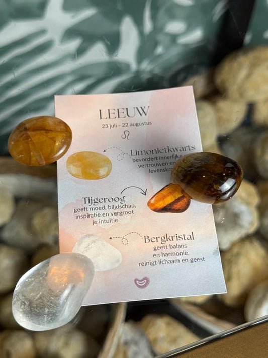 Cadeauset Leeuw (22 Juli - 22 Augustus)