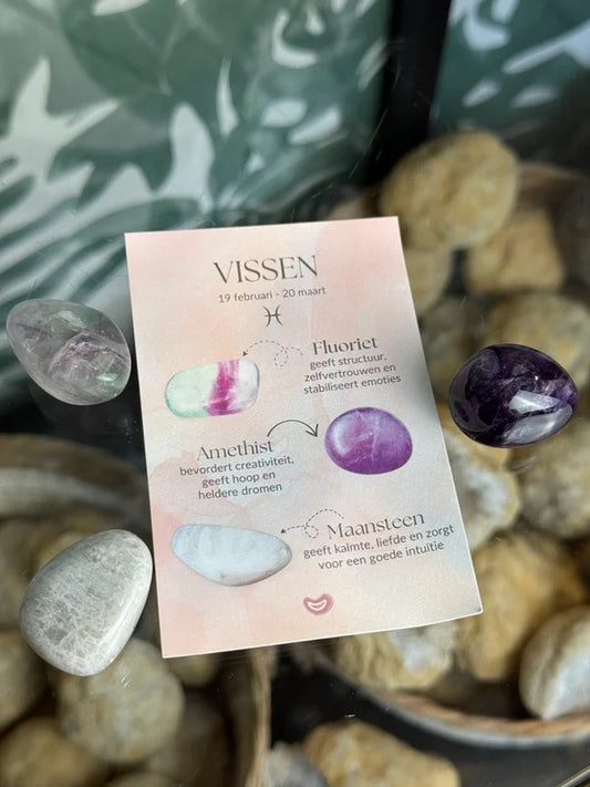 Cadeauset vissen (19 Februari - 20 Maart)