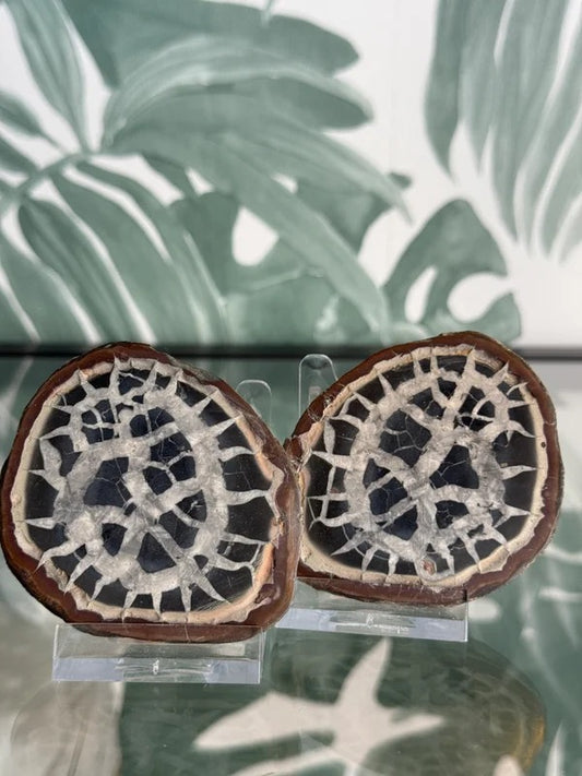 Septarie geode paar #no.5