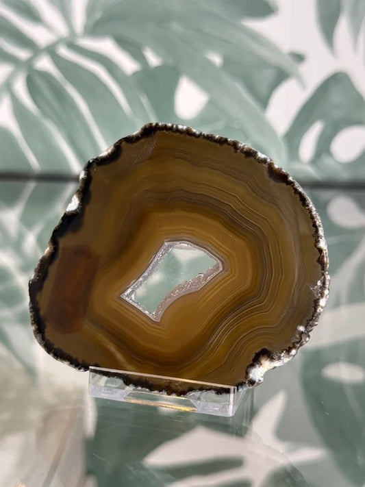 Agaat schijf natuurlijk #no.51