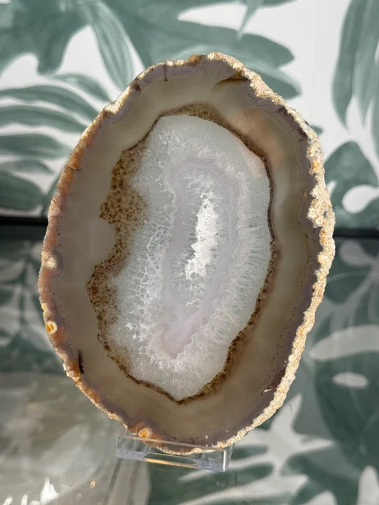 Agaat schijf natuurlijk #no.75