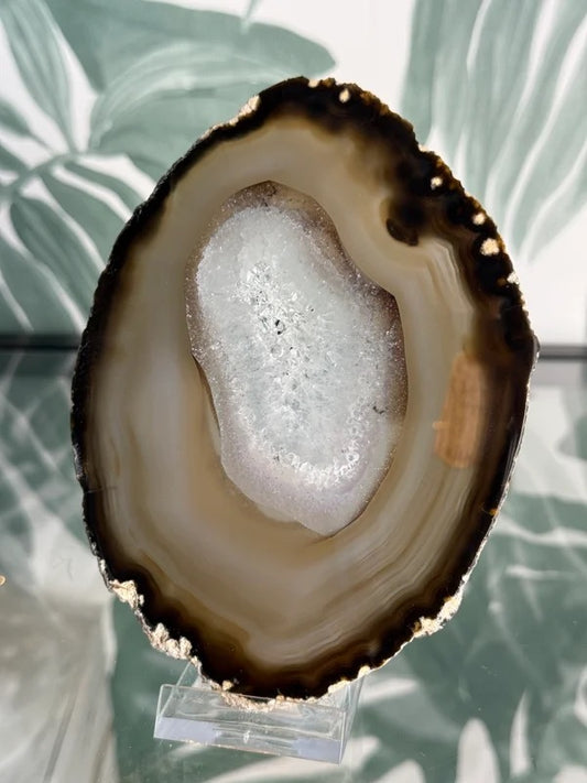 Agaat schijf natuurlijk #no.29