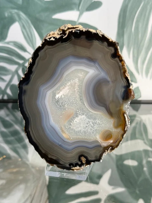 Agaat schijf natuurlijk #no.31