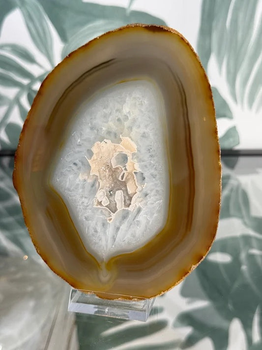 Agaat schijf natuurlijk #no.55