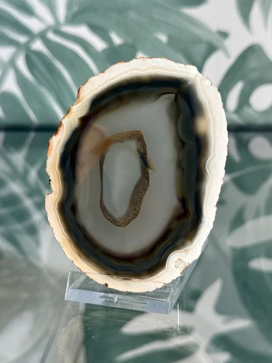 Agaat schijf natuurlijk #no.80