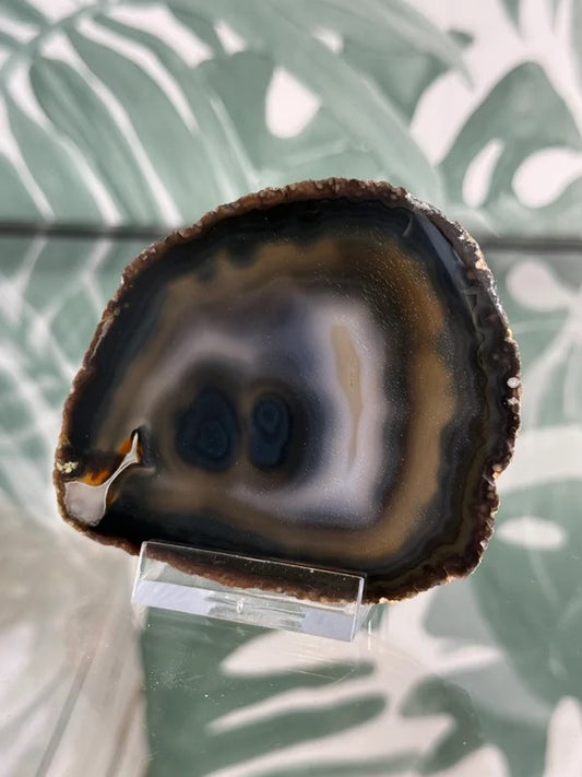 Agaat schijf natuurlijk #no.81